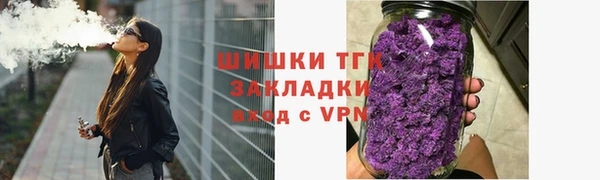 соль ск Богородицк