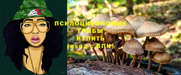 кристаллы Богданович