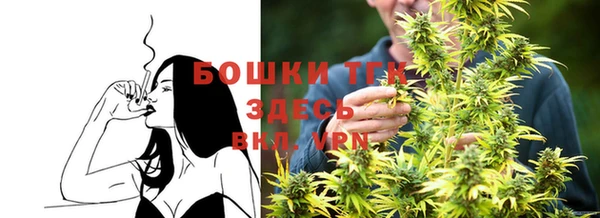 соль ск Богородицк